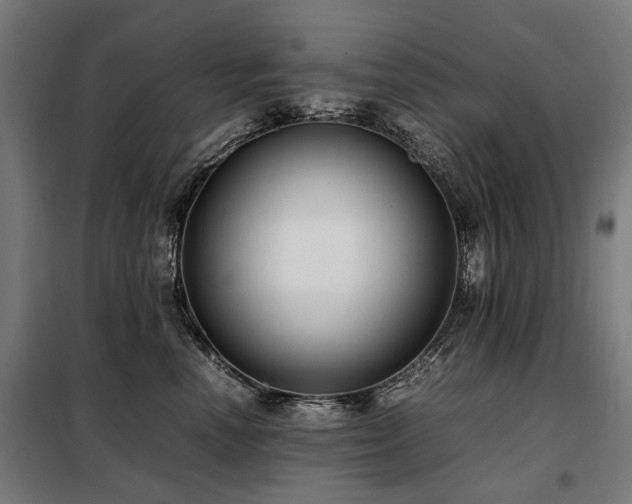 X0000098120666200804041409