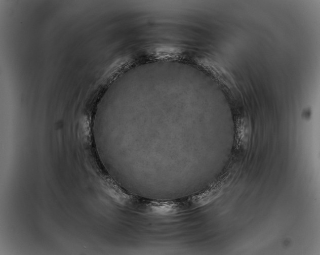 X0000098120667200804041409