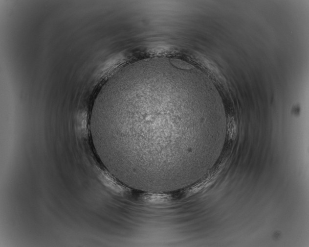 X0000098120670200804041409