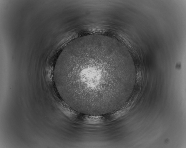 X0000098120671200804041409