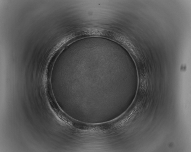 X0000098120674200804041409