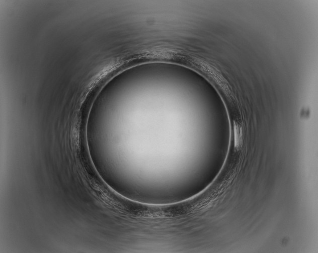X0000098120675200804041409