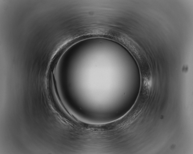 X0000098120676200804041409