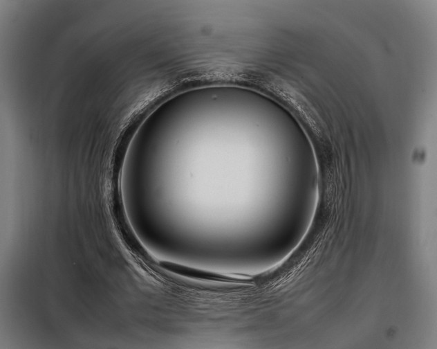 X0000098120677200804041409