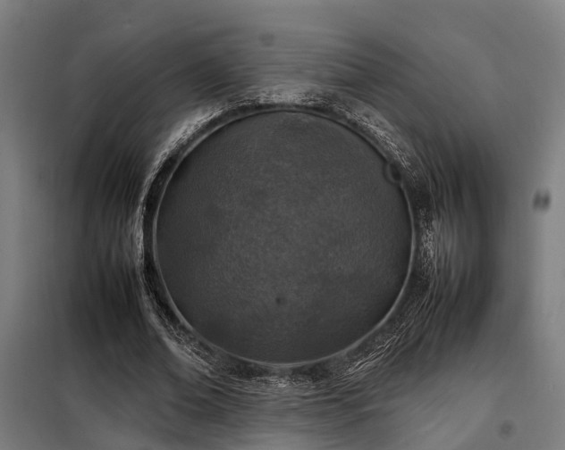 X0000098120678200804041409