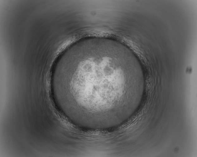 X0000098120679200804041409