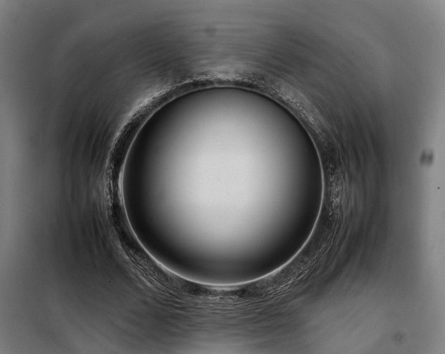 X0000098120680200804041409