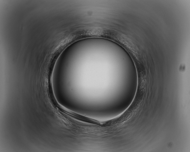 X0000098120681200804041409