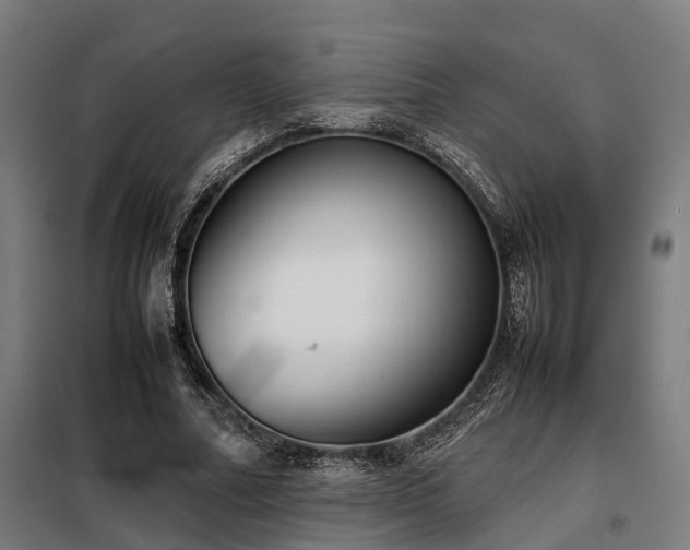 X0000098120682200804041409