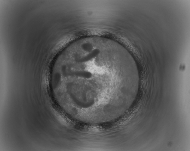 X0000098120683200804041409