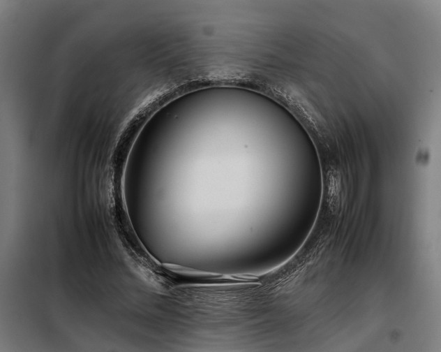 X0000098120684200804041409