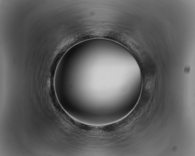 X0000098120685200804041409