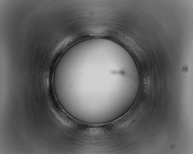 X0000098120686200804041409