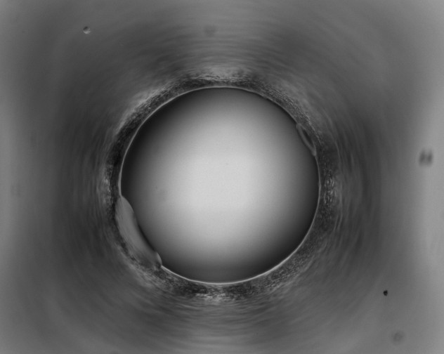 X0000098120688200804041409