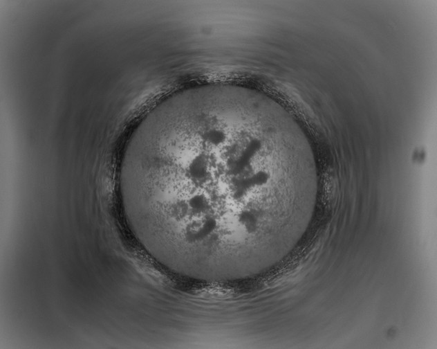 X0000098120691200804041409