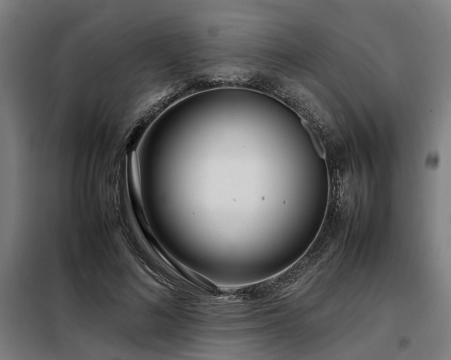 X0000098120692200804041408