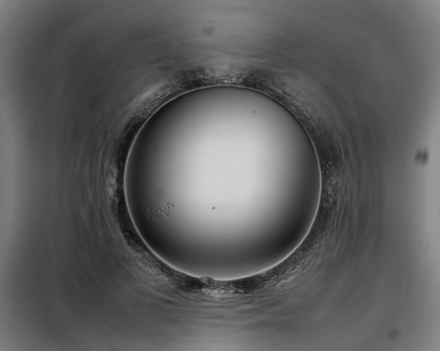 X0000098120693200804041408