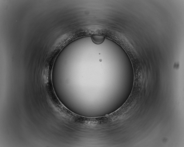 X0000098120694200804041408