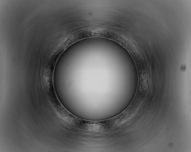 X0000098120698200804041408