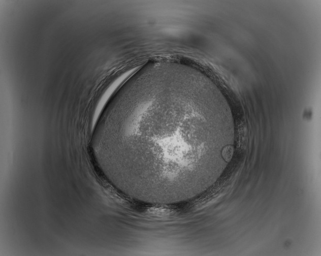 X0000098120699200804041408