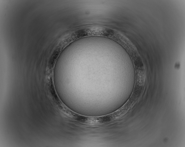 X0000098120701200804041408