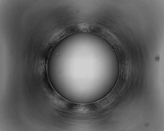 X0000098120702200804041408