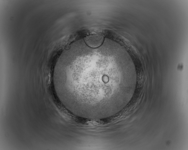 X0000098120703200804041408