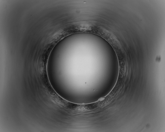 X0000098120704200804041408