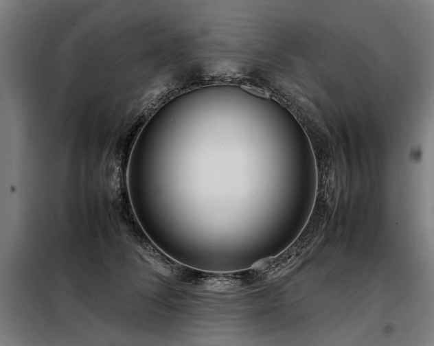 X0000098120708200804041408