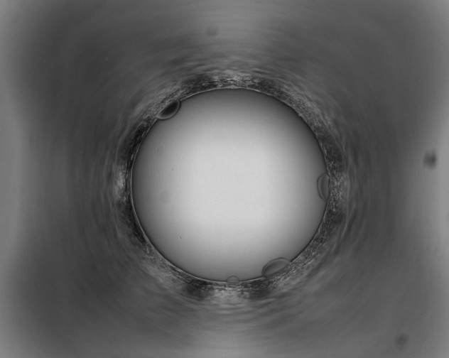 X0000098120709200804041408