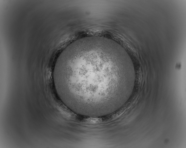 X0000098120711200804041408