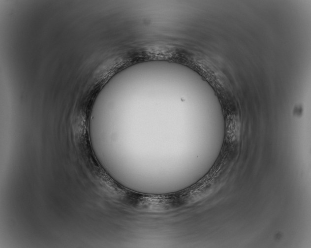 X0000098120713200804041408