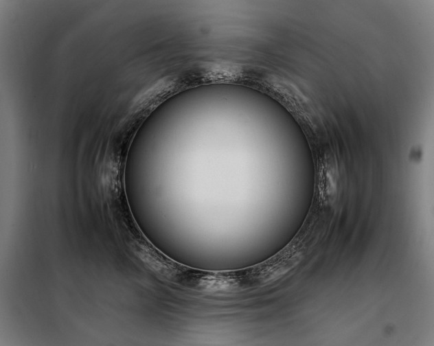 X0000098120714200804041408