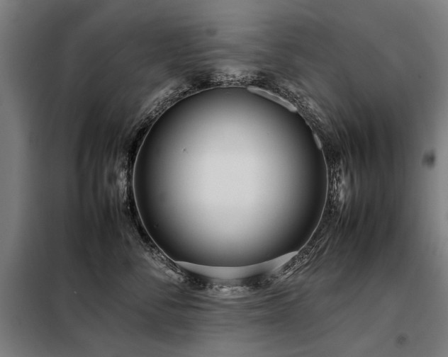 X0000098120716200804041408