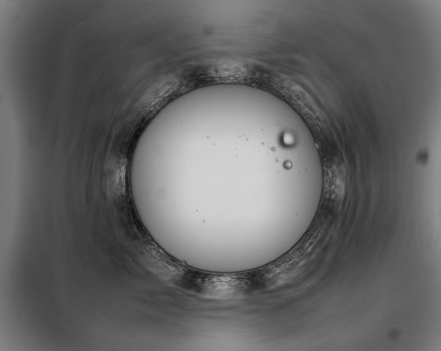 X0000098120717200804041408