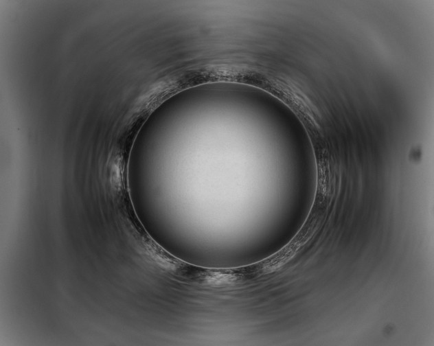 X0000098120718200804041408