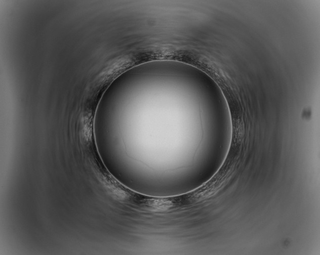 X0000098120719200804041408