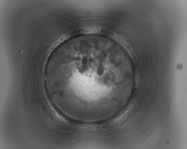 X0000098120721200804041407