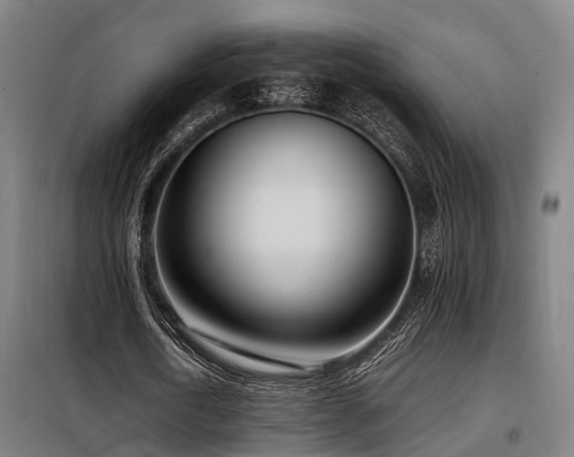 X0000098120722200804041407