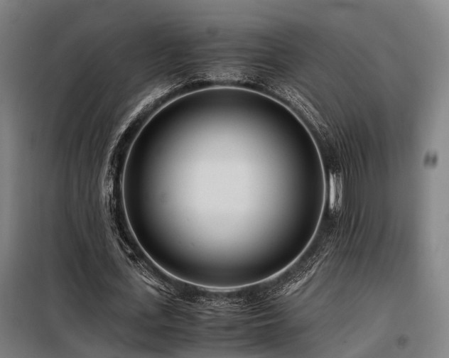X0000098120723200804041407