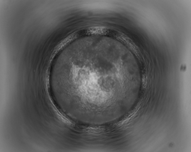 X0000098120725200804041408