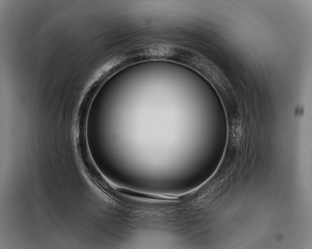 X0000098120726200804041408