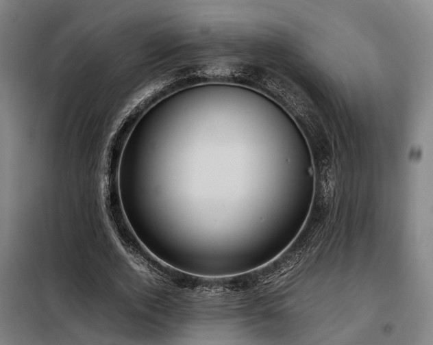 X0000098120728200804041408