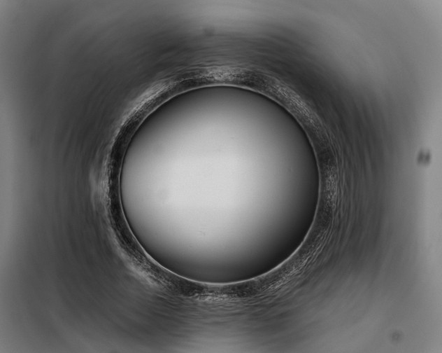 X0000098120730200804041408