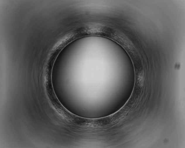 X0000098120732200804041408