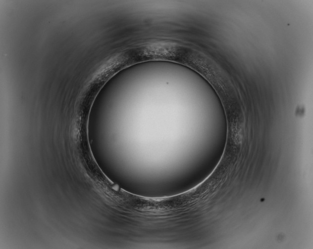 X0000098120735200804041408