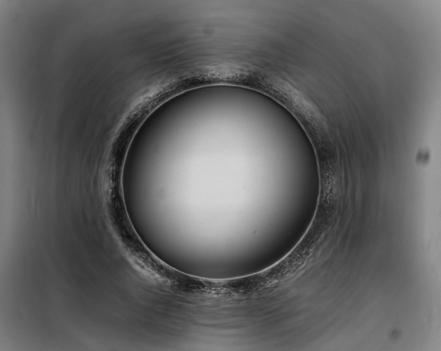 X0000098120736200804041408