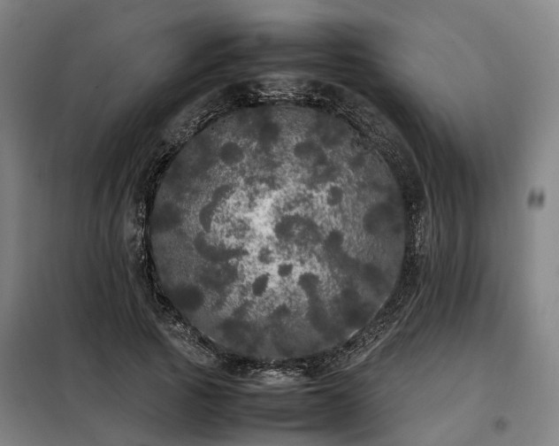 X0000098120737200804041408