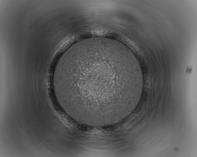 X0000098120738200804041408