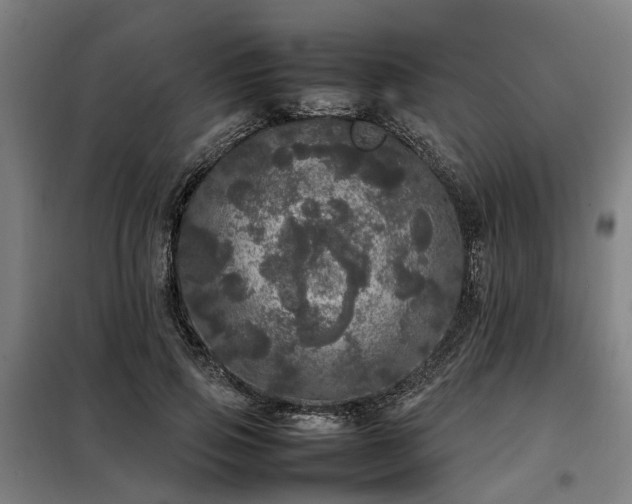 X0000098120741200804041408